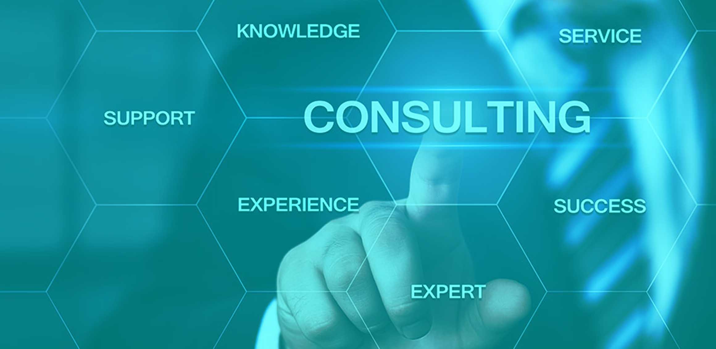 Consulting services